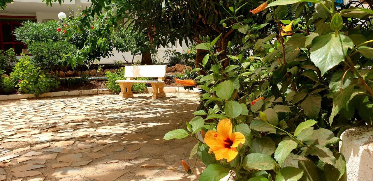 Apartament Vinamar La Mata La Mata  Zewnętrze zdjęcie
